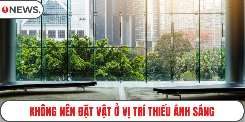 Không nên đặt vật ở vị trí thiếu ánh sáng