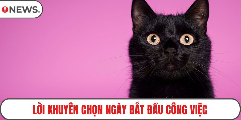 Lời khuyên chọn ngày bắt đầu công việc